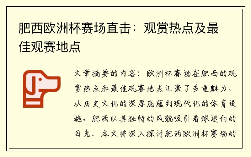 肥西欧洲杯赛场直击：观赏热点及最佳观赛地点